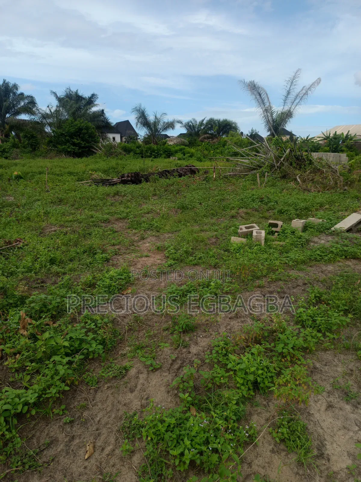 Plots of Land in a Well Developed Neighborhood