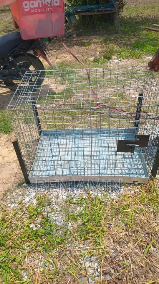 Non Collapsible Size 4 Dog Cage
