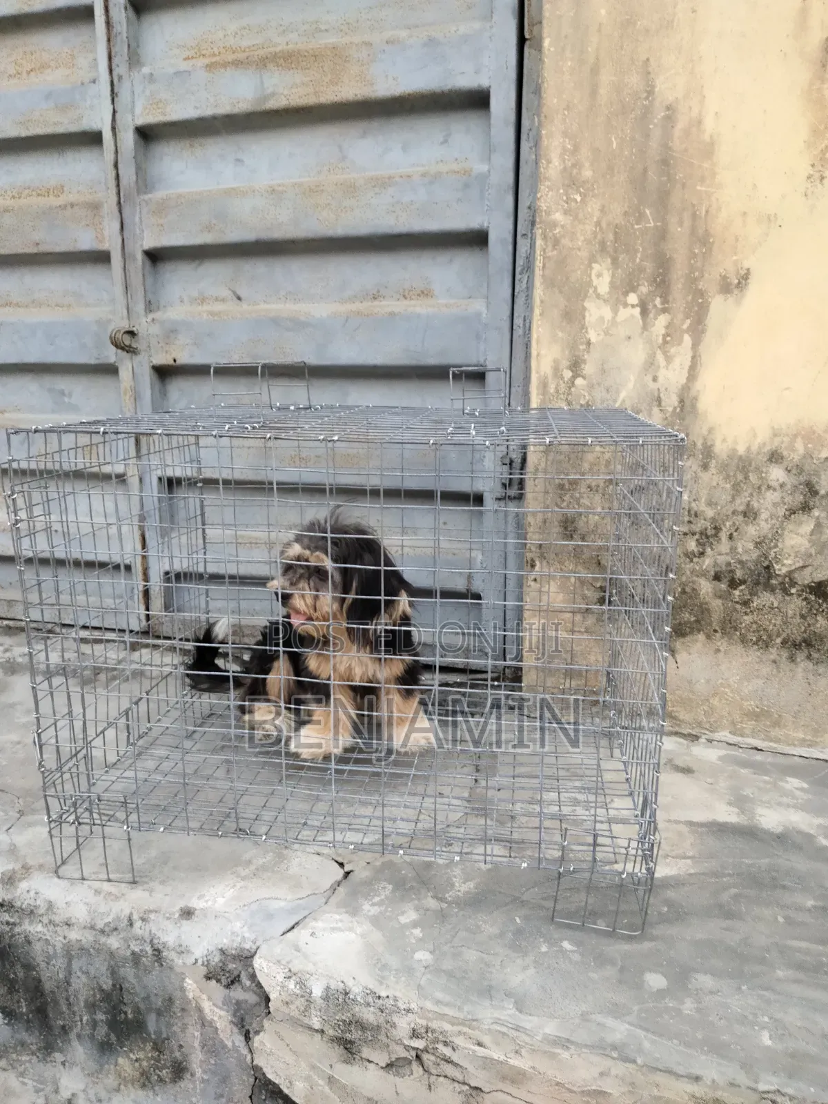Non Collapsible Small Dog Cage