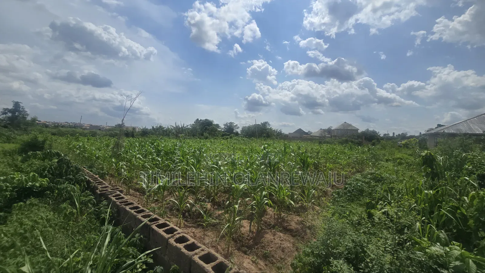 A Full Plot of Land in Akobo Ibadan.