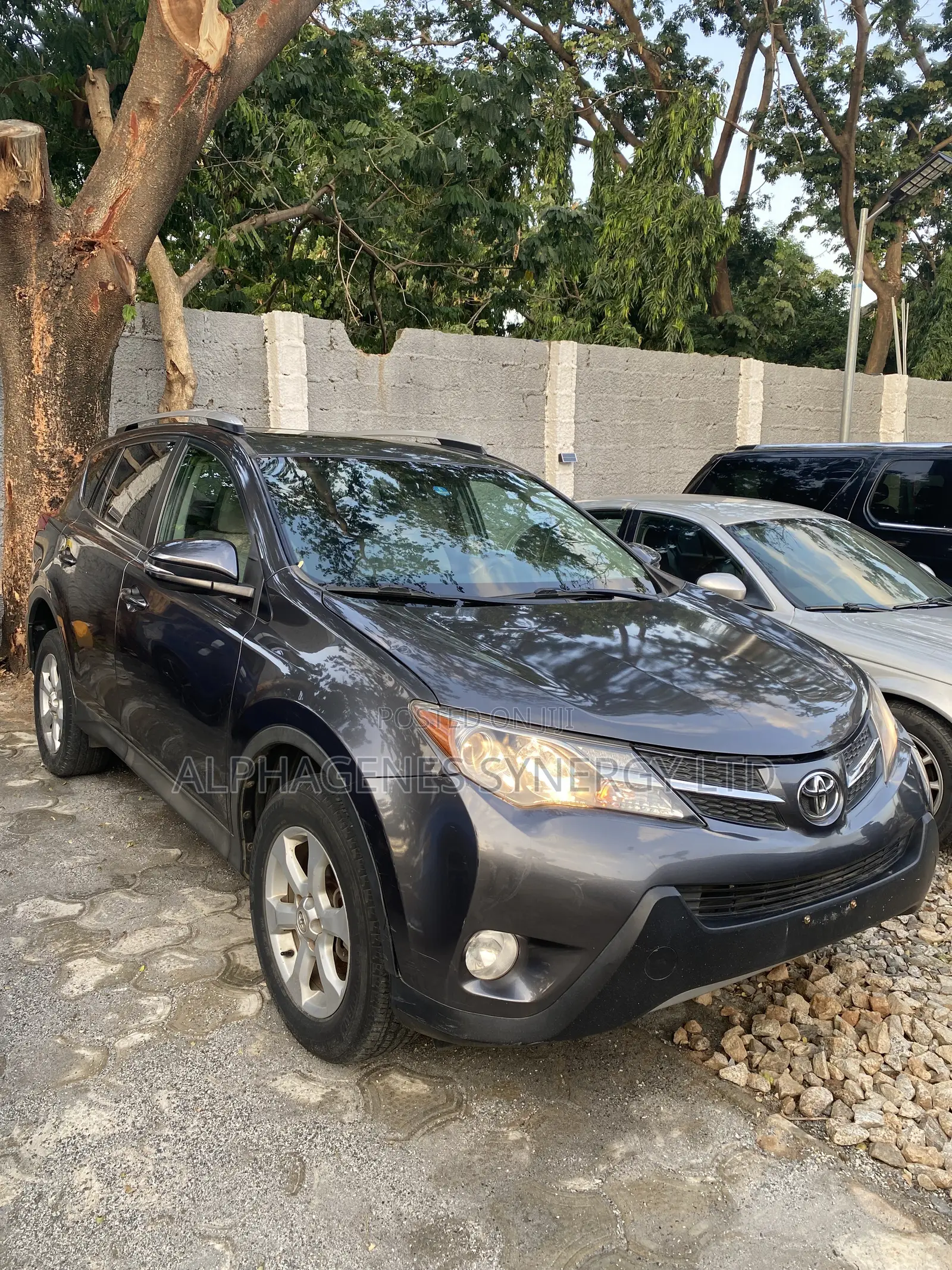 Toyota RAV4 XLE 4dr SUV (2.5L 4cyl 6A) 2014 Gray