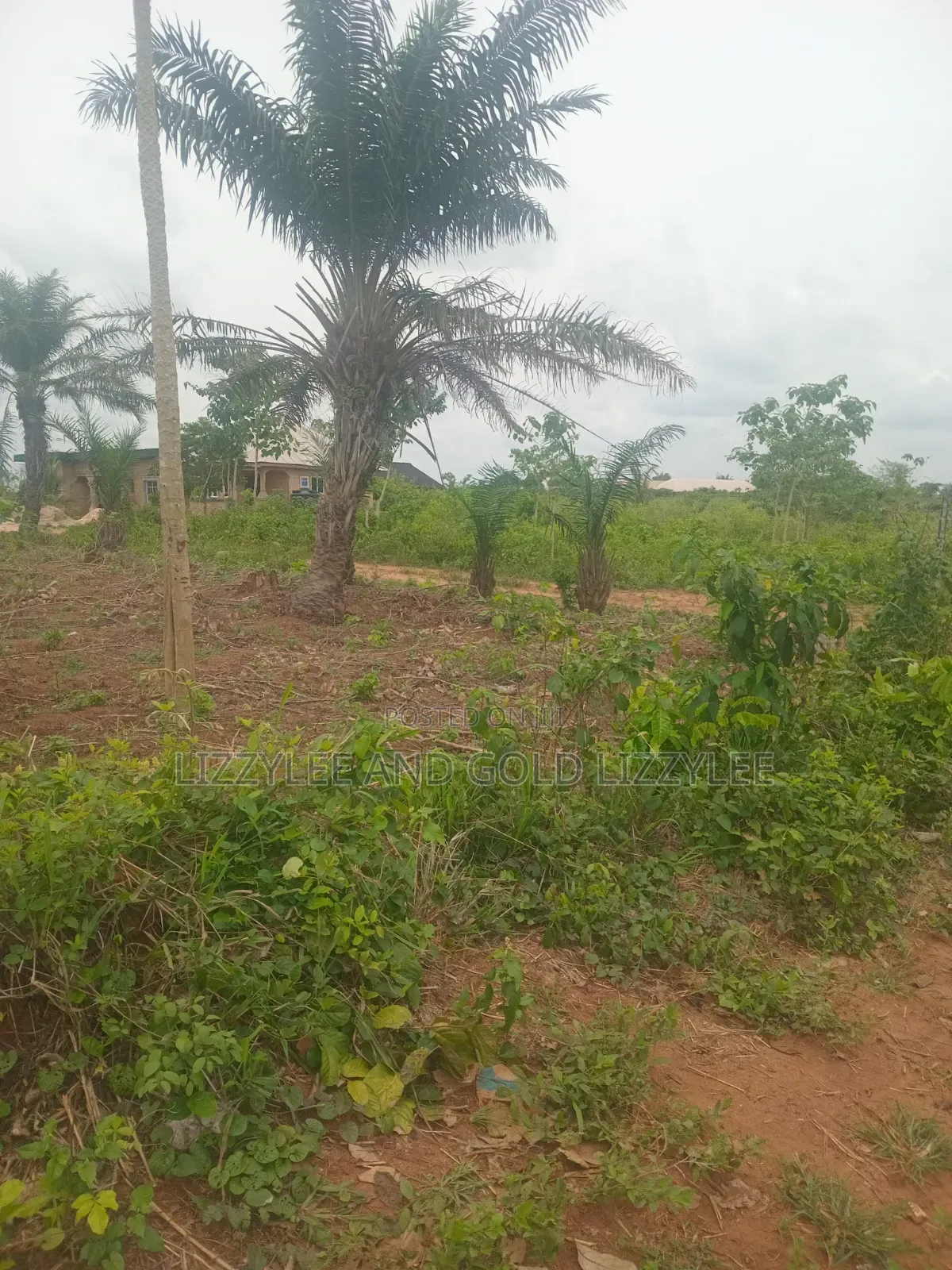 1000 Acres For Farmland For Sale At Igbedu Village, Obafe Owode Local