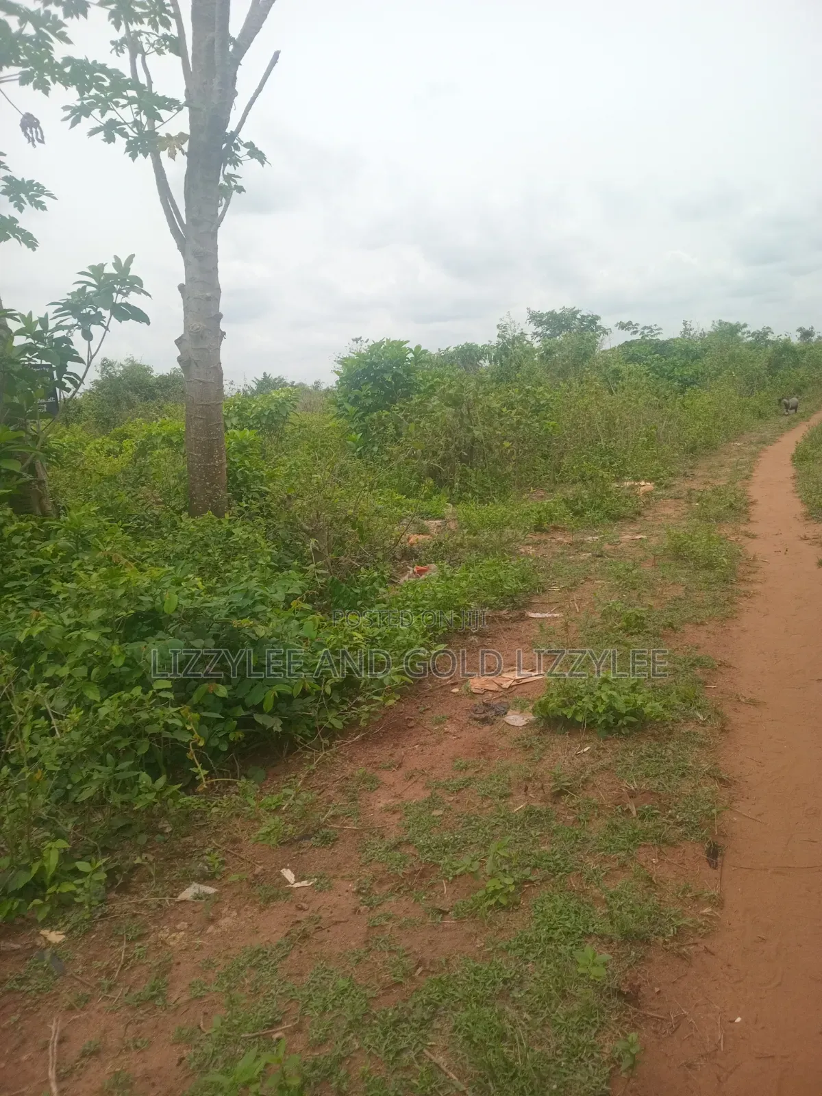 1000 Acres For Farmland For Sale At Igbedu Village, Obafe Owode Local