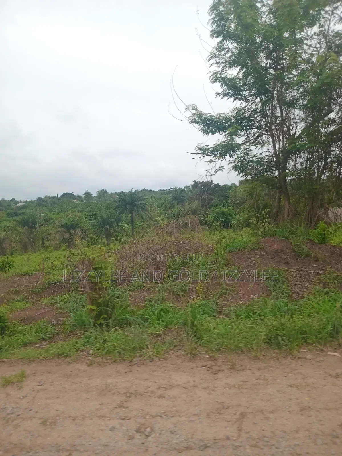 2000 Acres for Sale at Per Acre, Located at Imala Abeokuta North