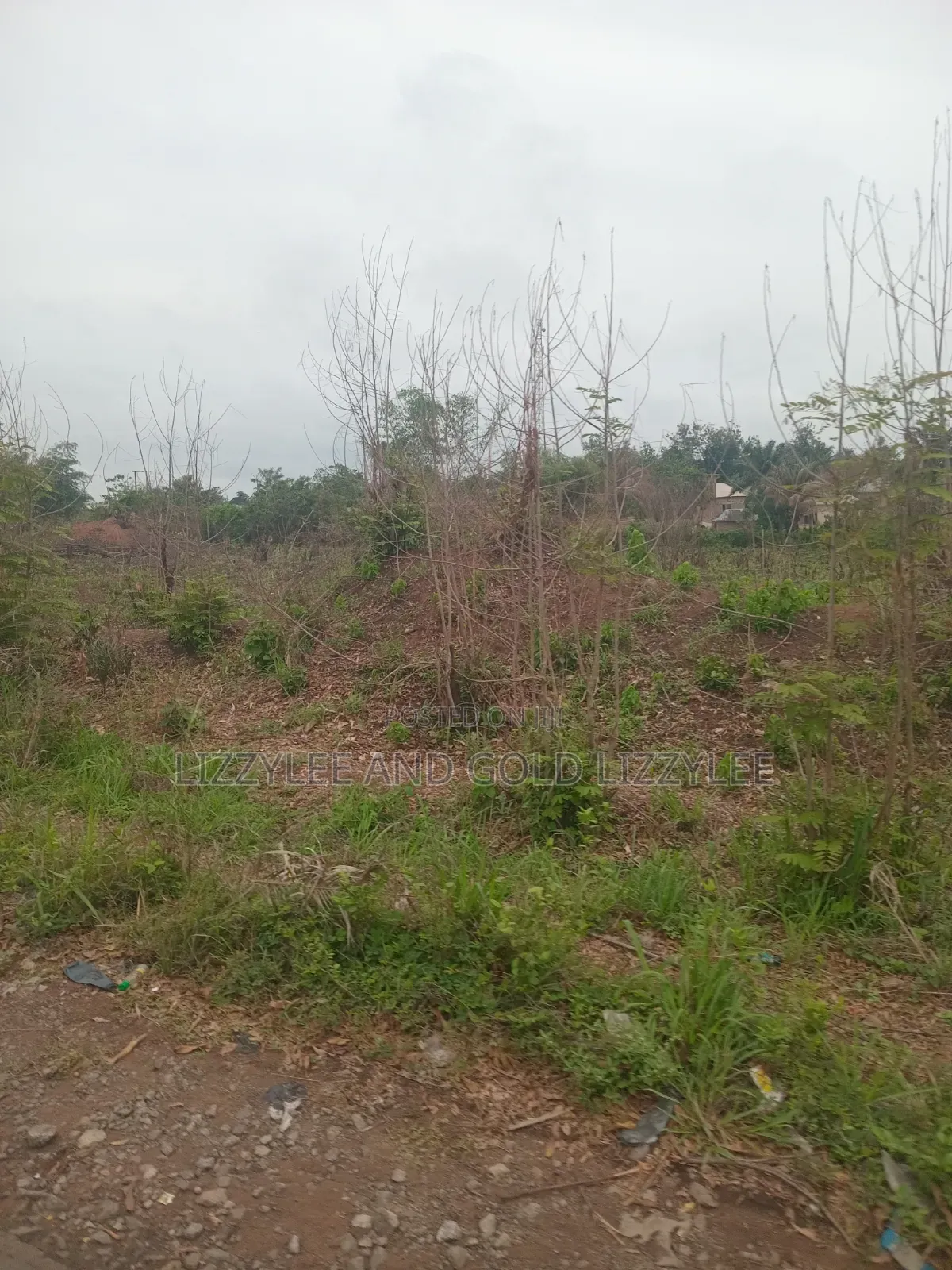 500 Acres of Farmland for Sale at Per Acre, at Onigbogbo