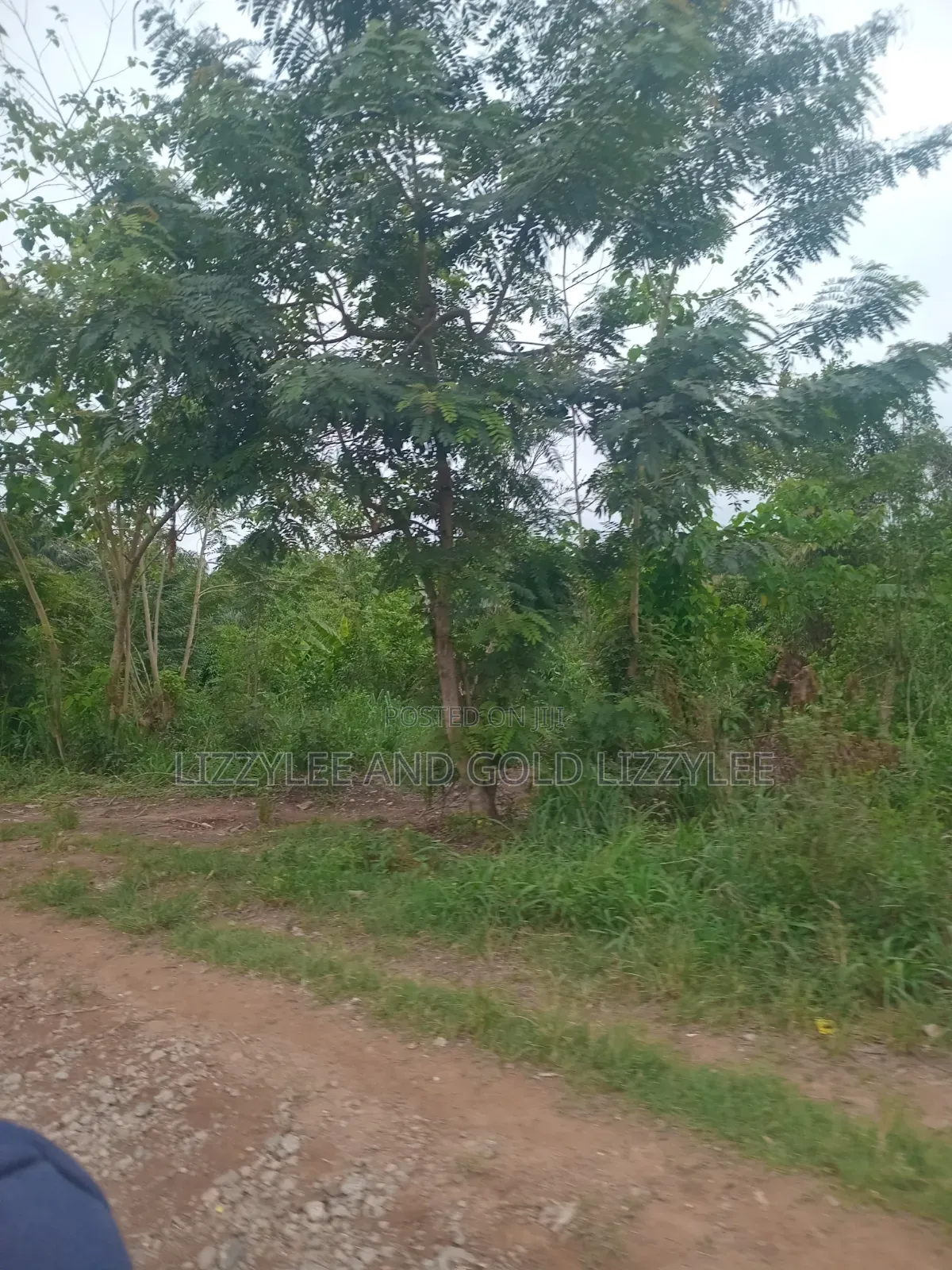 Farmland for Sale Located at Ayetoro Yewa North Lg, at Per Acre