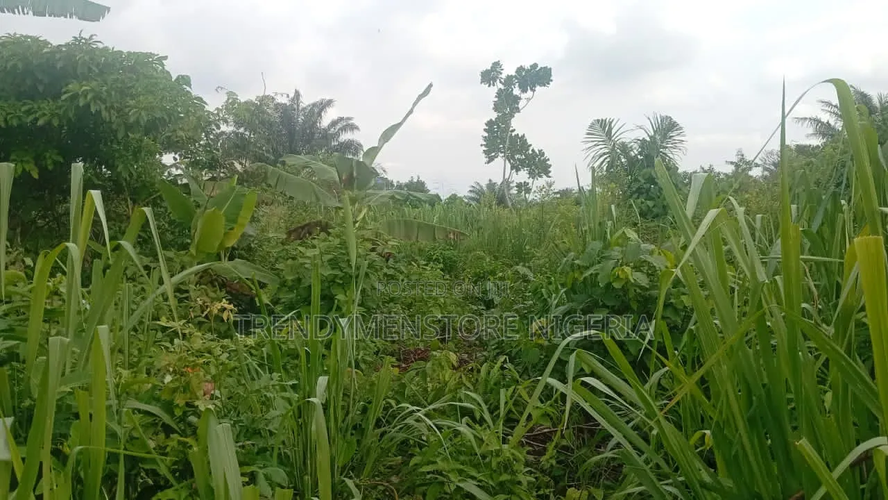 For Sale: A Plot at Shimawa Behind Redeem Camp Plus Free 20t Granite.