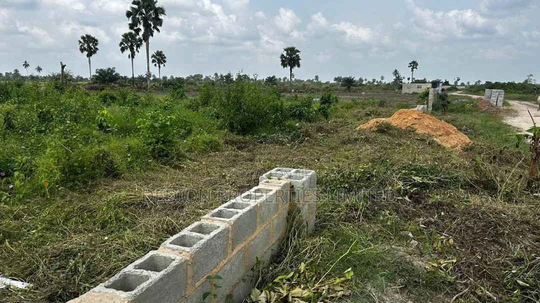 Ibefun Land With Certificate of Occupancy in View, Registered Survey