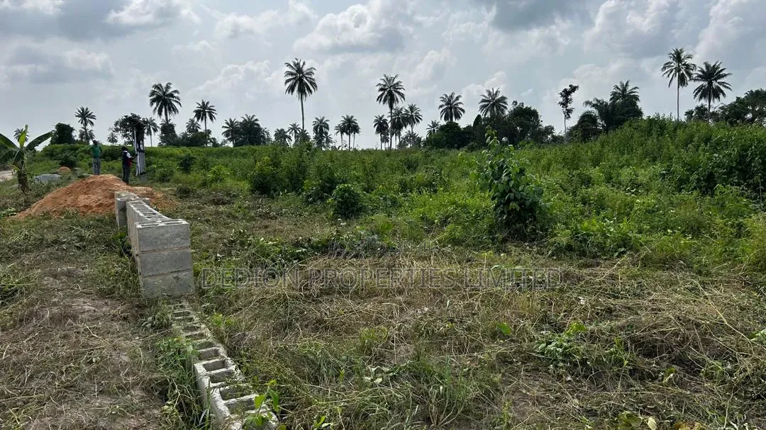 Ibefun Land With Certificate of Occupancy in View, Registered Survey