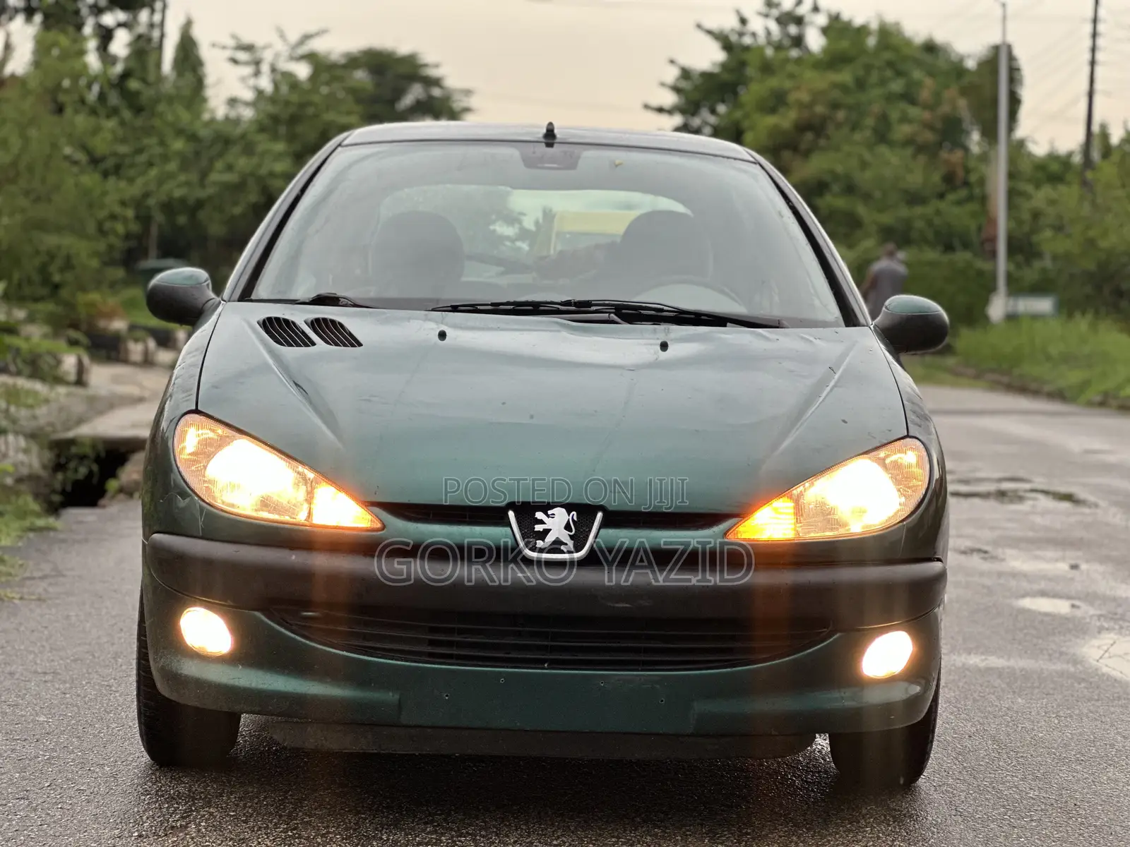 Peugeot 206 CC 2004 Green