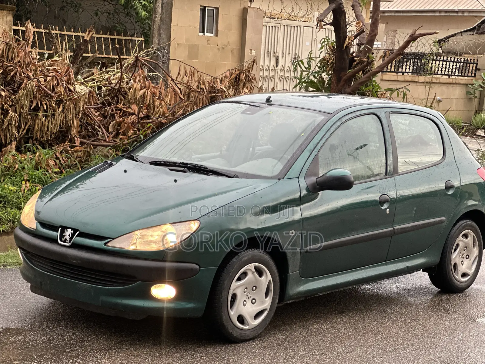 Peugeot 206 CC 2004 Green