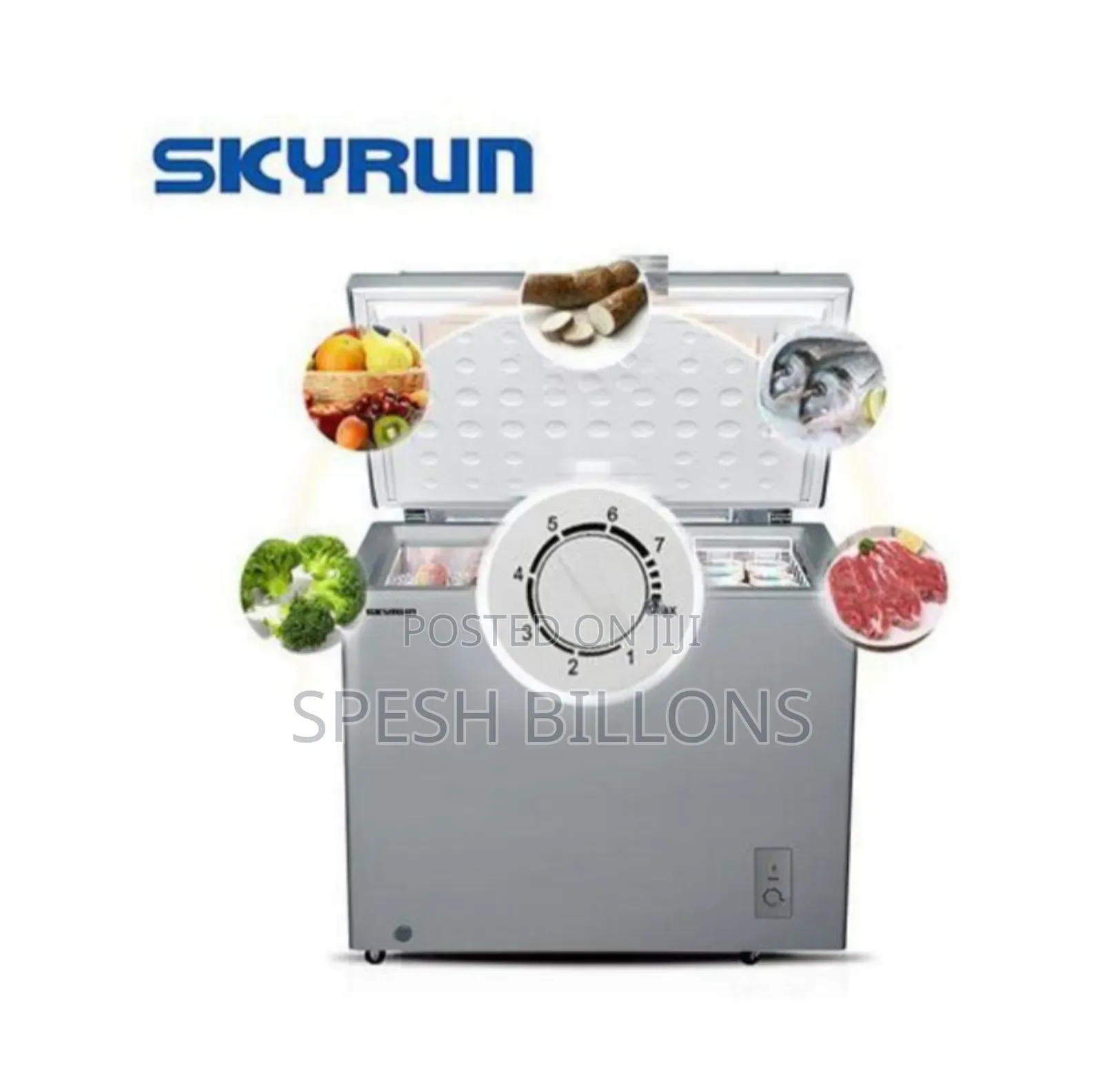 300l Skyrun Inverter Freezer, 12 Months Valid Warranty on Compressor
