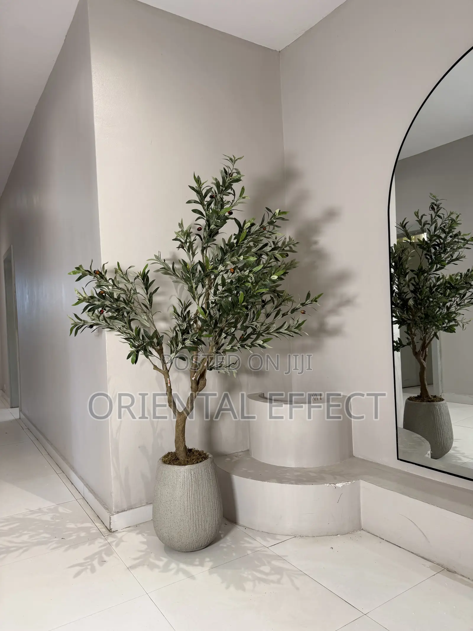 180cm Olive Tree In Granite Merlot Pot | Luxury Floor Decor
