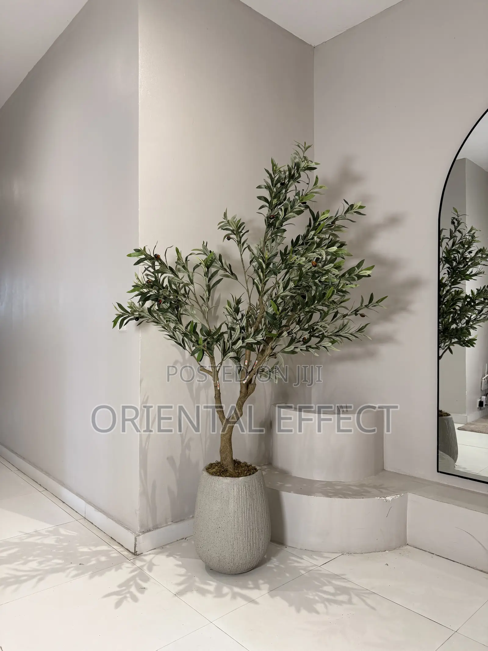 180cm Olive Tree In Granite Merlot Pot | Luxury Floor Decor