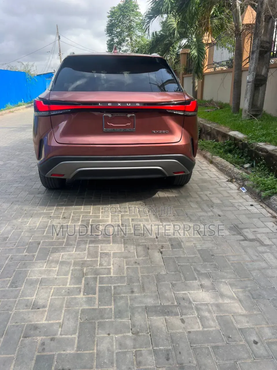 Lexus RX 350 Premium Plus 2024 Brown
