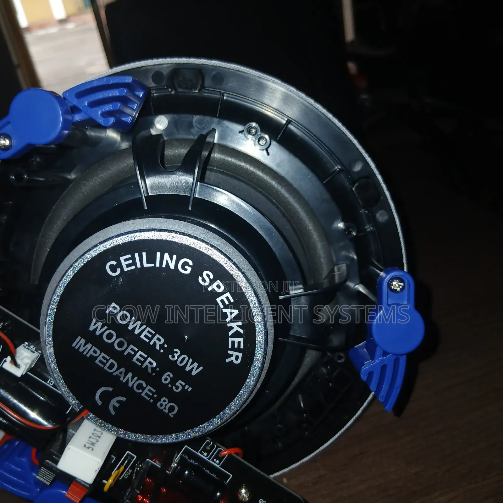 Dart Ceiling C30c Speaker