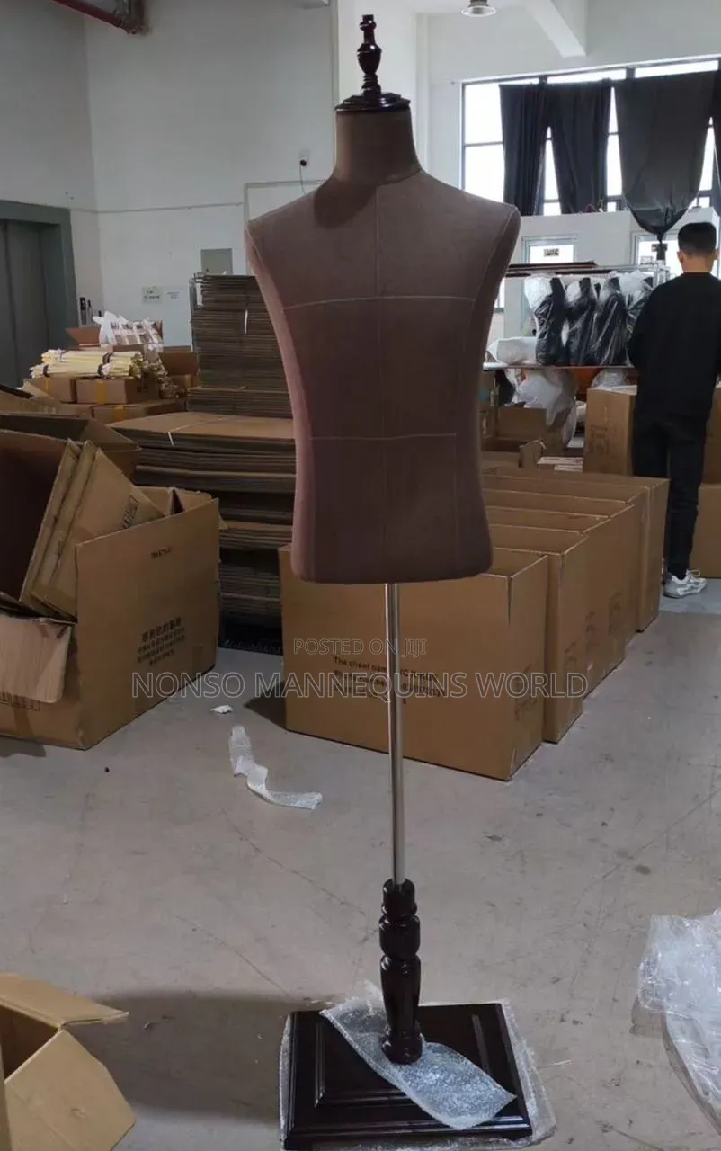 Brand New Male Torso Bodyform