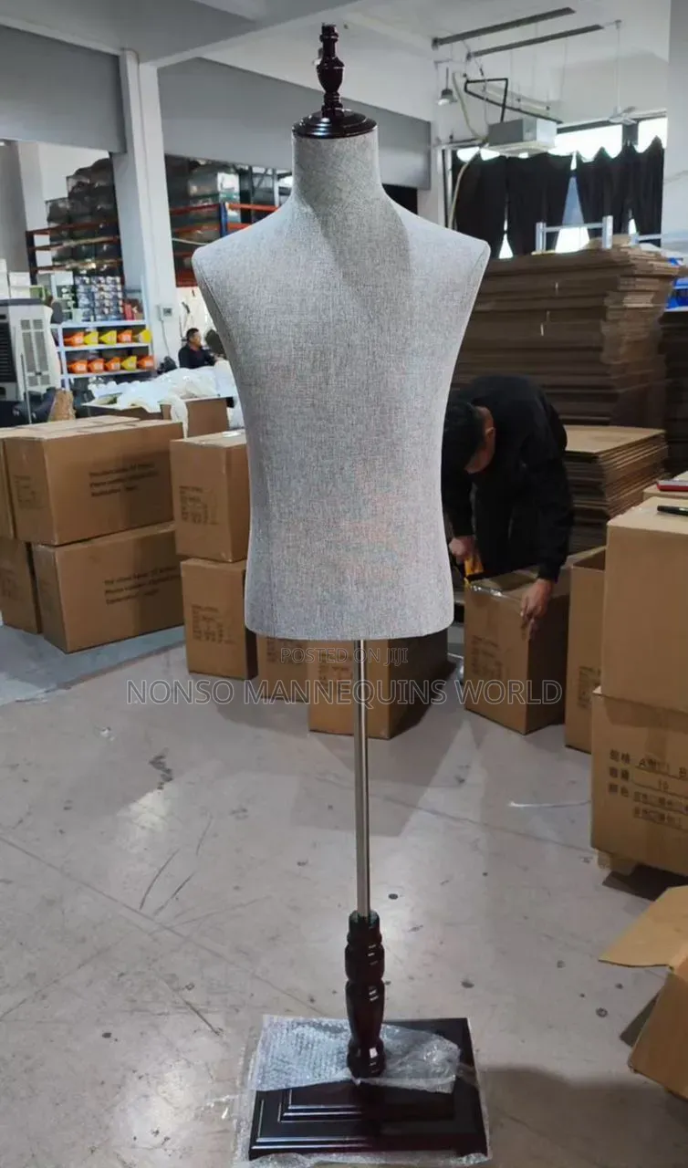 Brand New Male Torso Bodyform