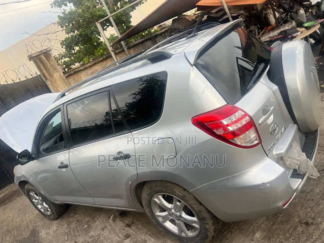Toyota RAV4 2009 Silver