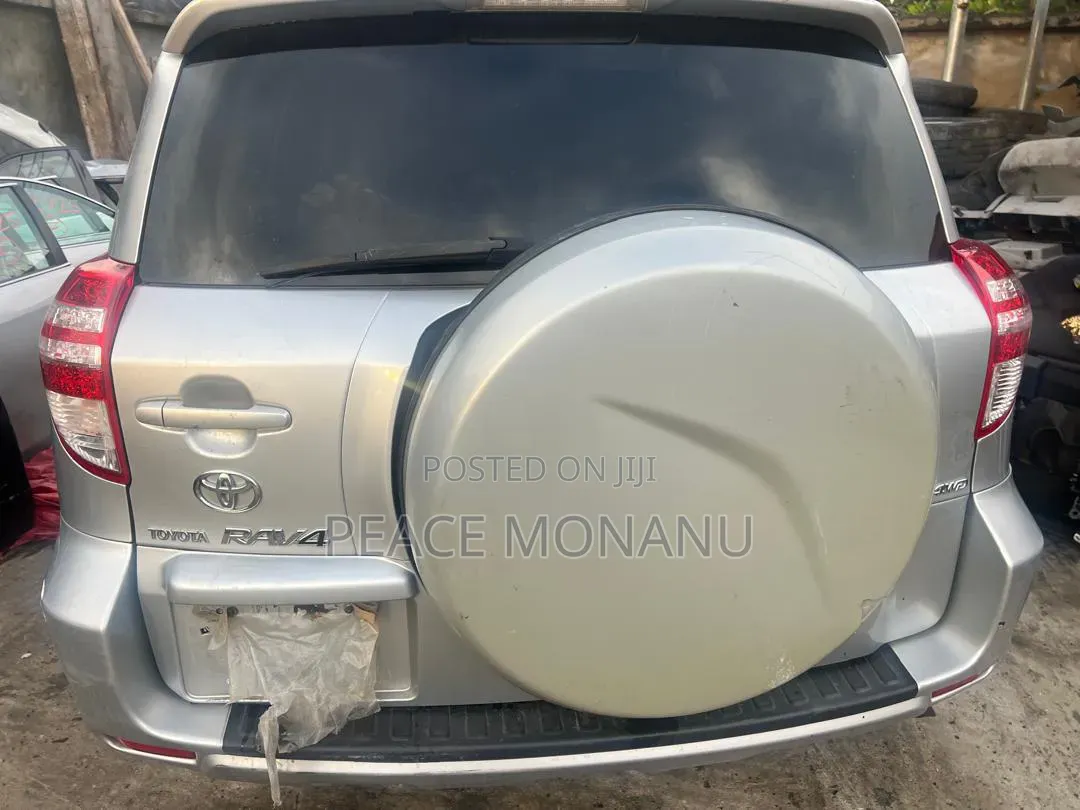 Toyota RAV4 2009 Silver