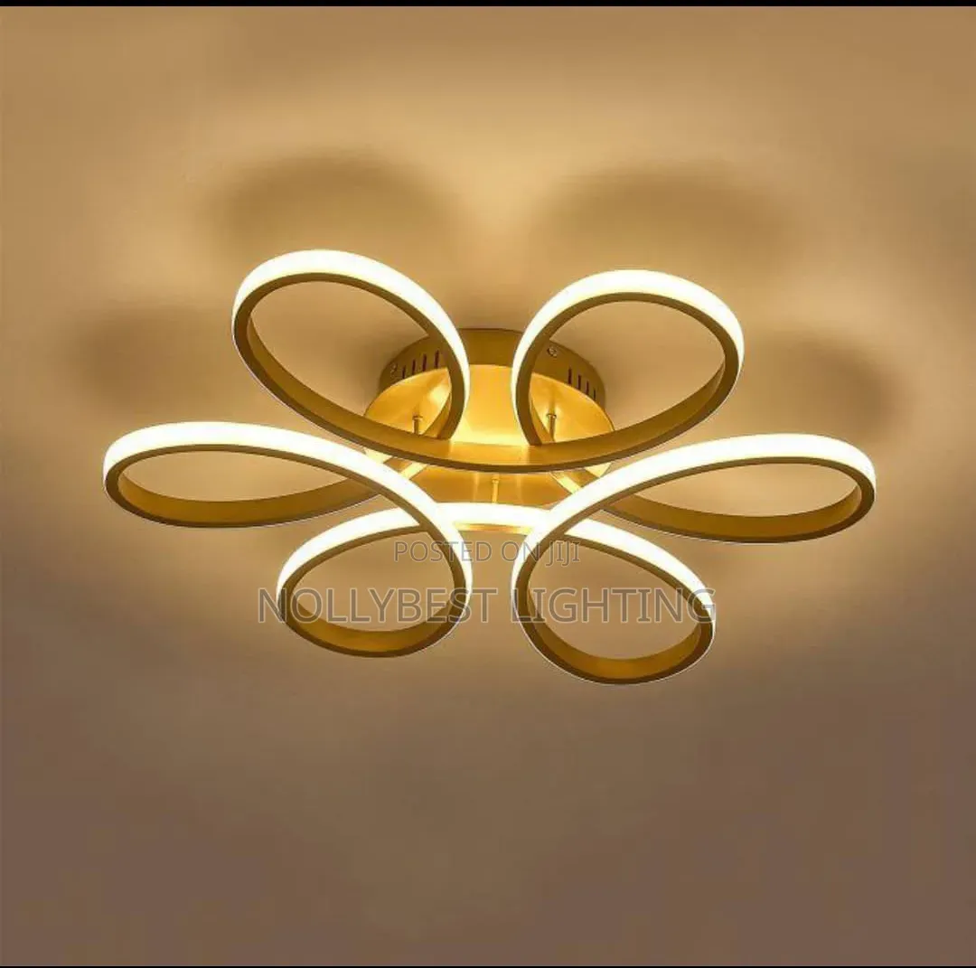 Ceiling Fittings Light
