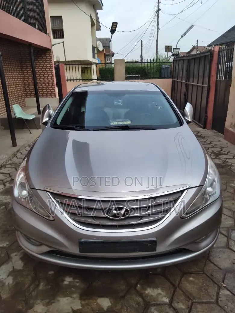 Hyundai Sonata 2011 Gray