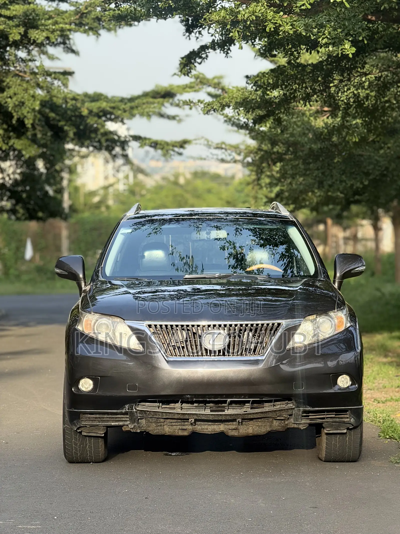 Lexus RX 350 2010 Gray