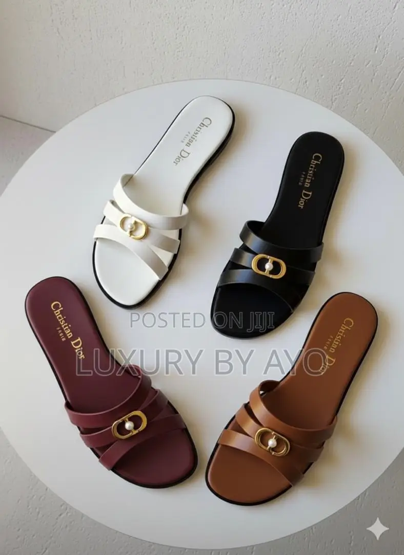 Luxury Dior Slippers