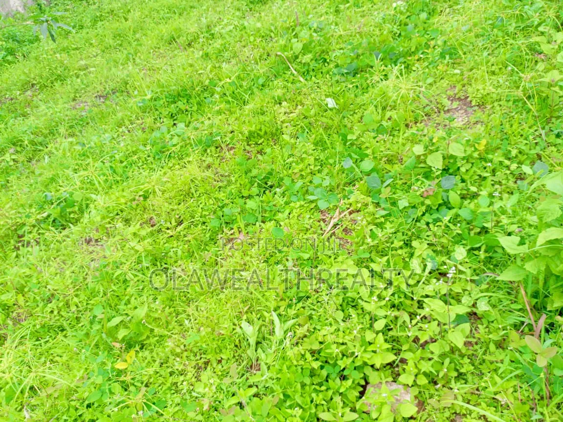 1,279sqm Residential Plot at Guzape