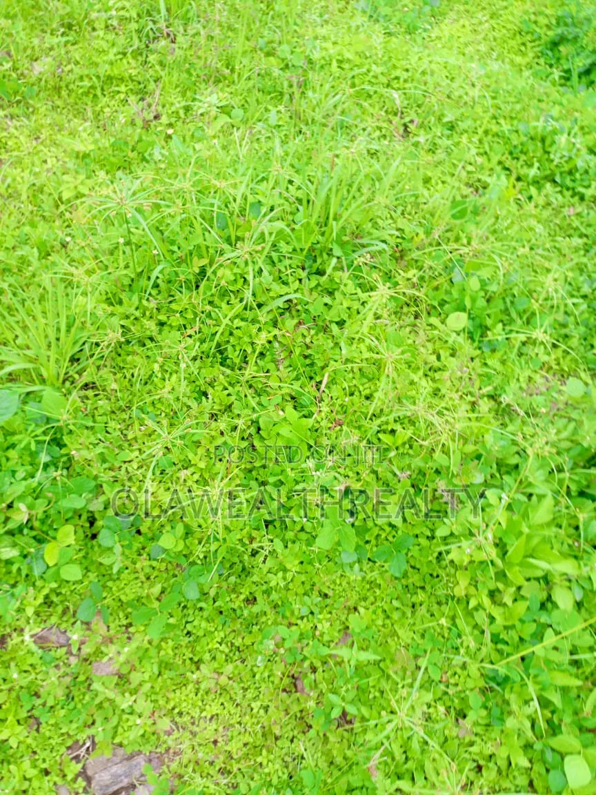 1,343sqm Residential Plot at Guzape