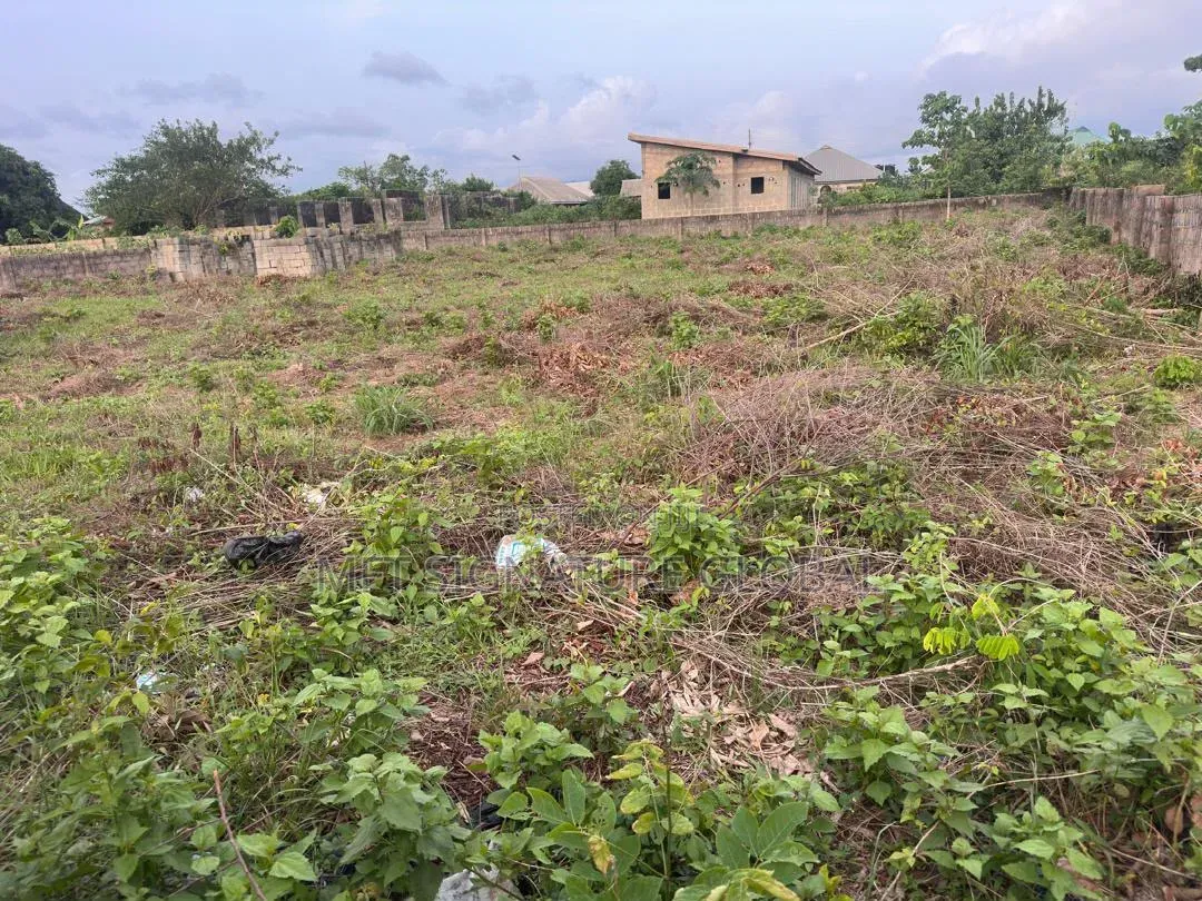 2 Plots of Land