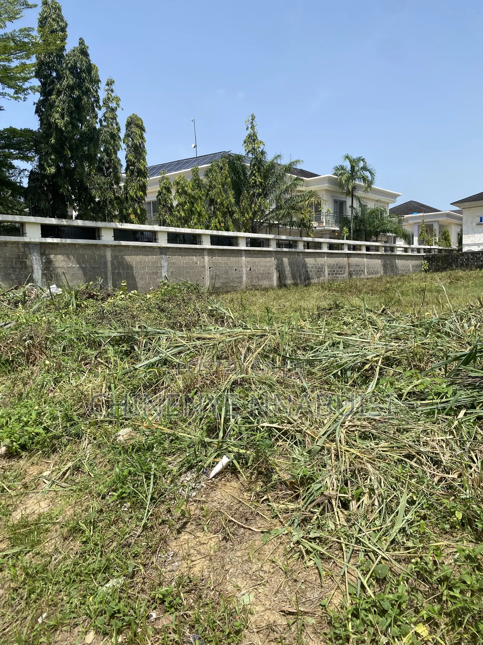 Buy and Build Land in VGC