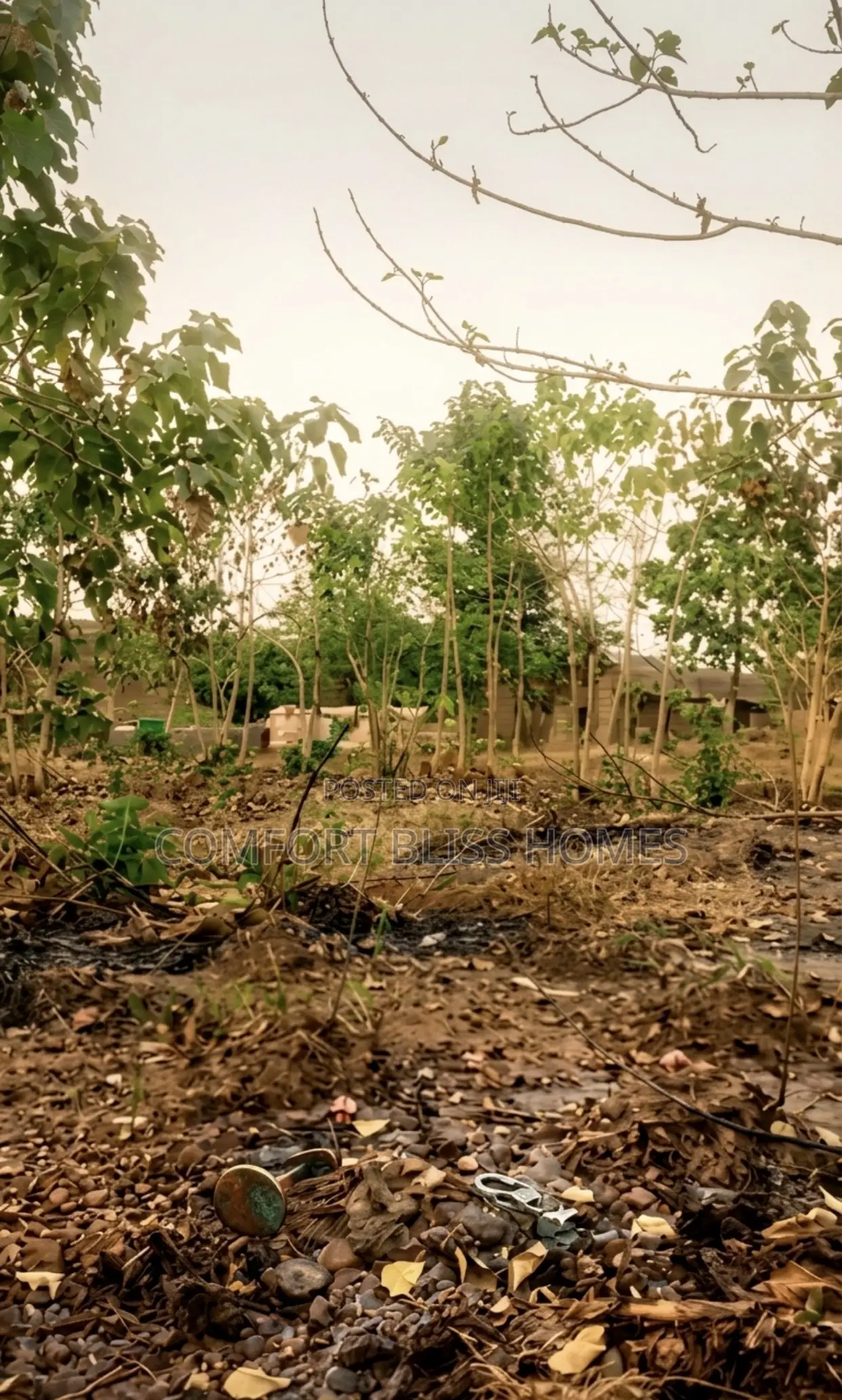 Land Close To Jabi Lake