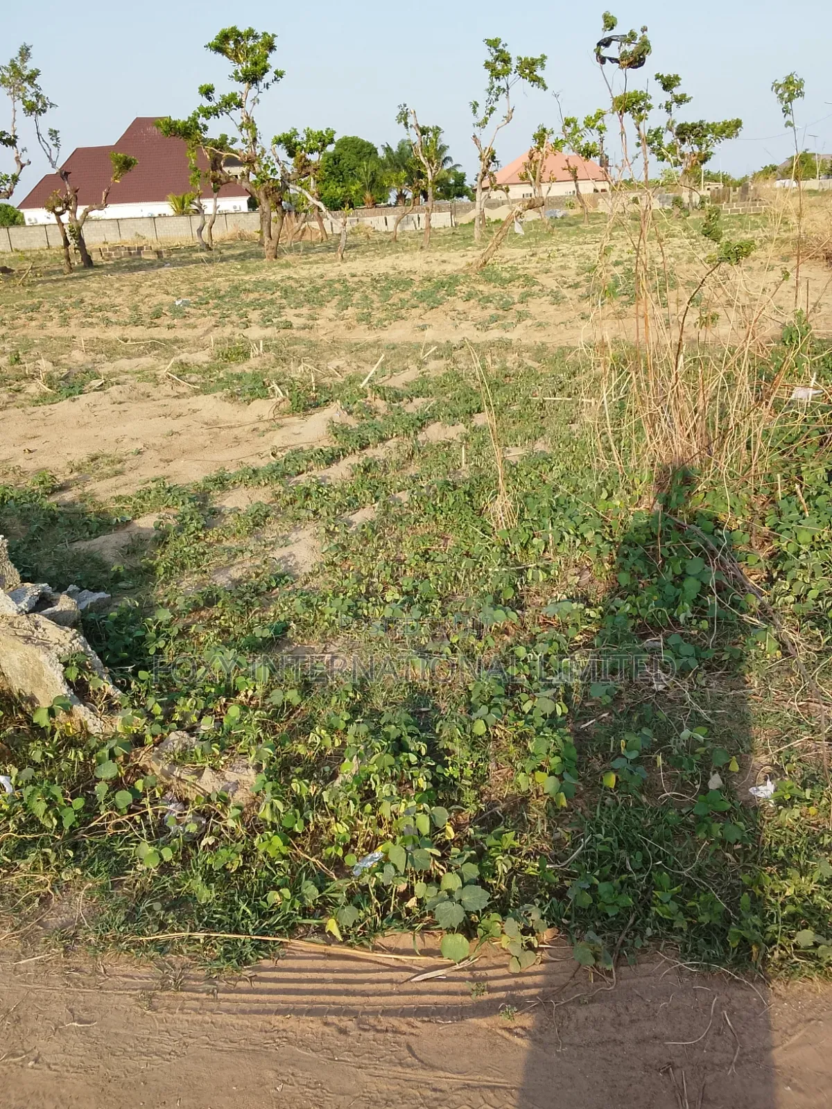 100 Hectares Land at Guzape 2 for Sale
