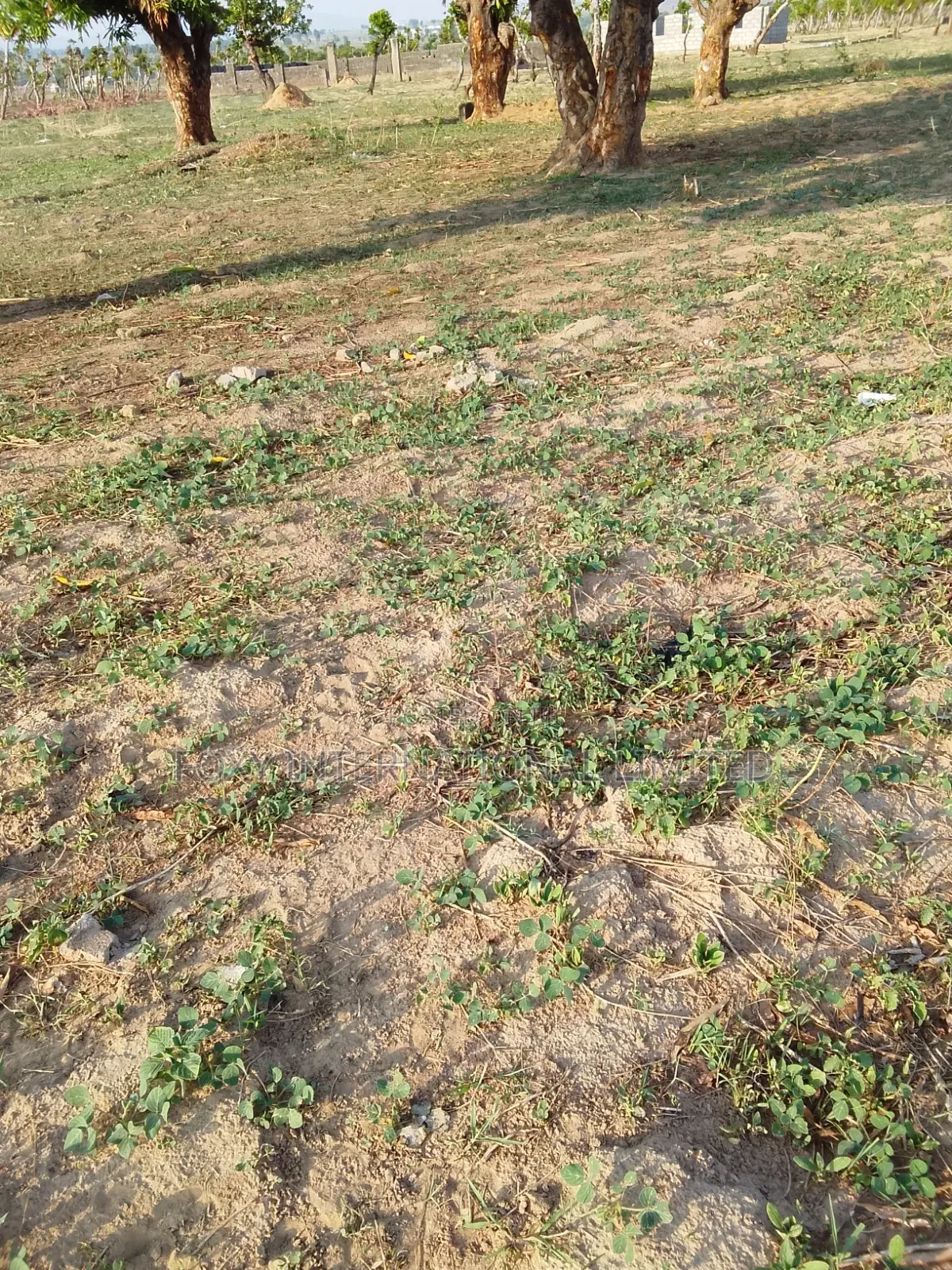 100 Hectares Land at Guzape 2 for Sale