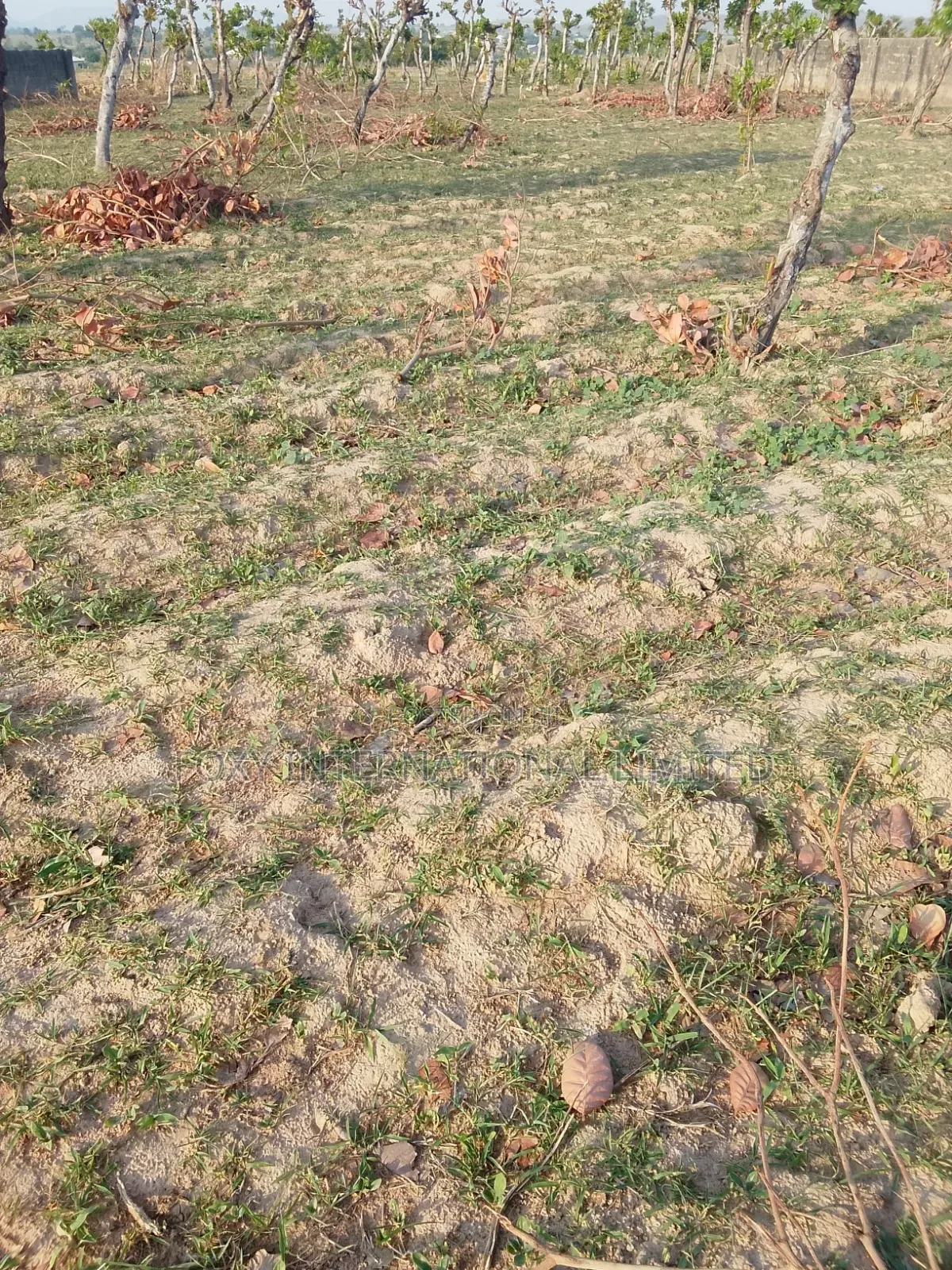100 Hectares Land at Guzape 2 for Sale
