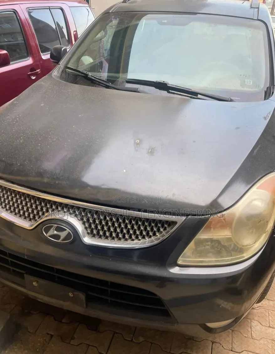 Hyundai Veracruz 2008 Gray