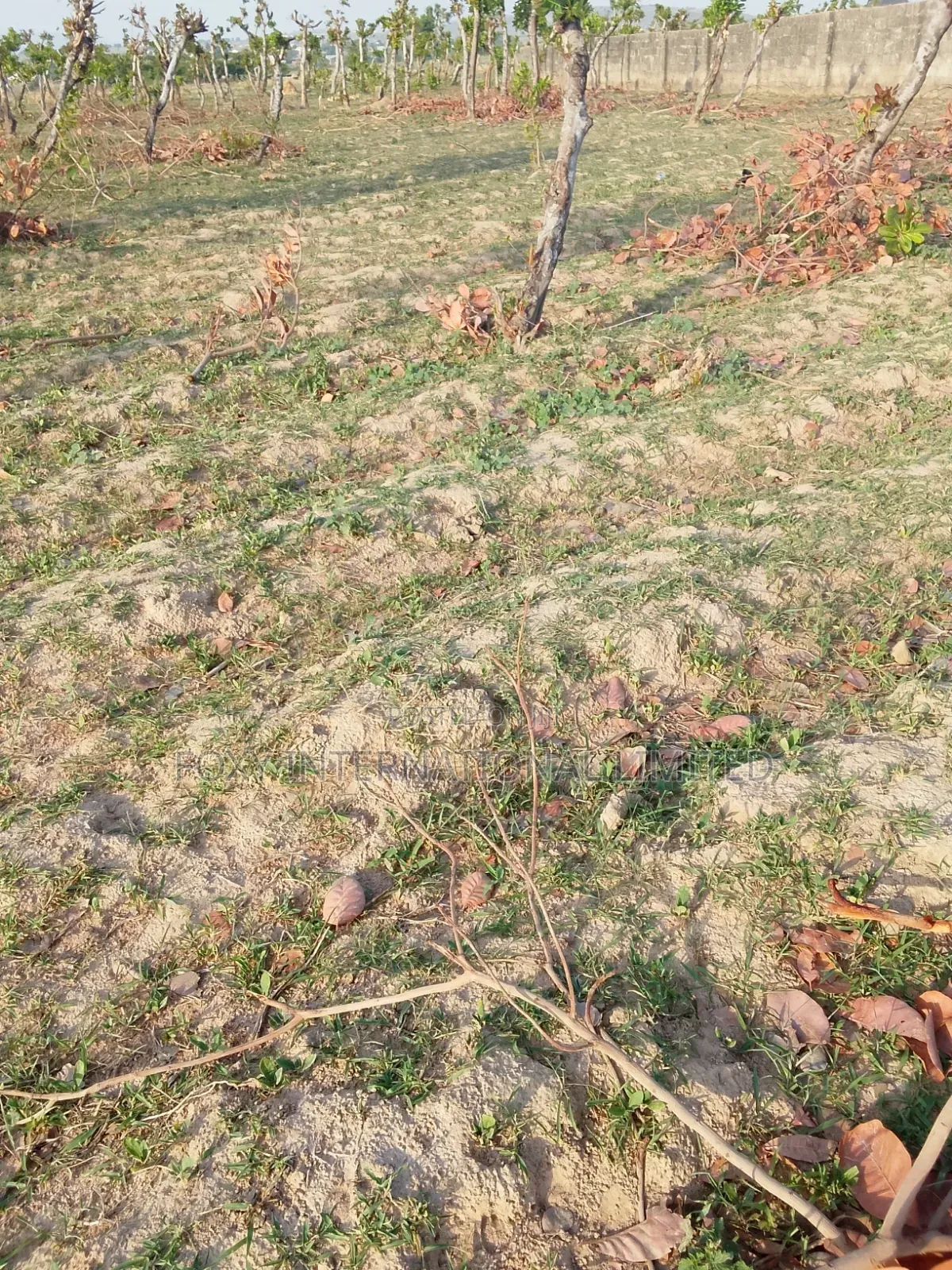 Apo Gudu 200 Hectares of Land for Sale