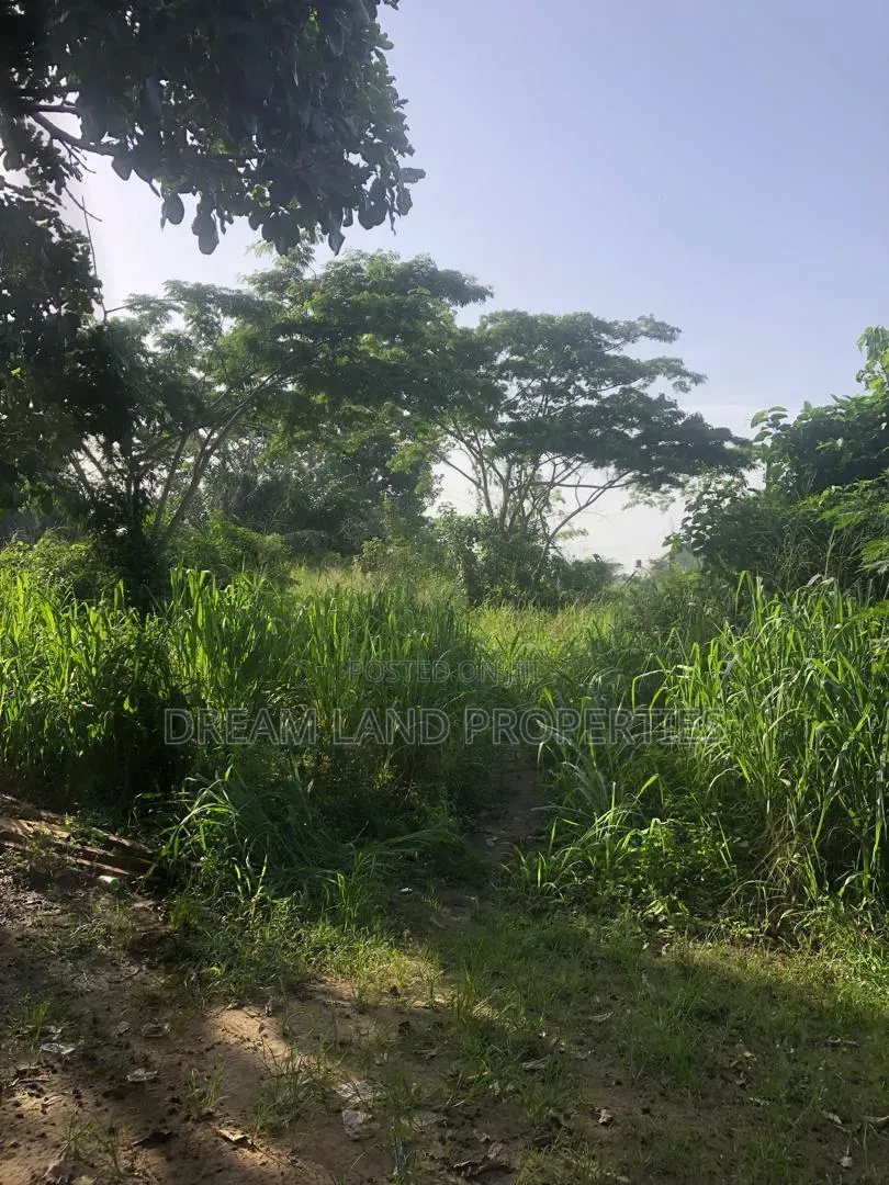 2 Acres of Land at Badore Ajah 6,000 SQM