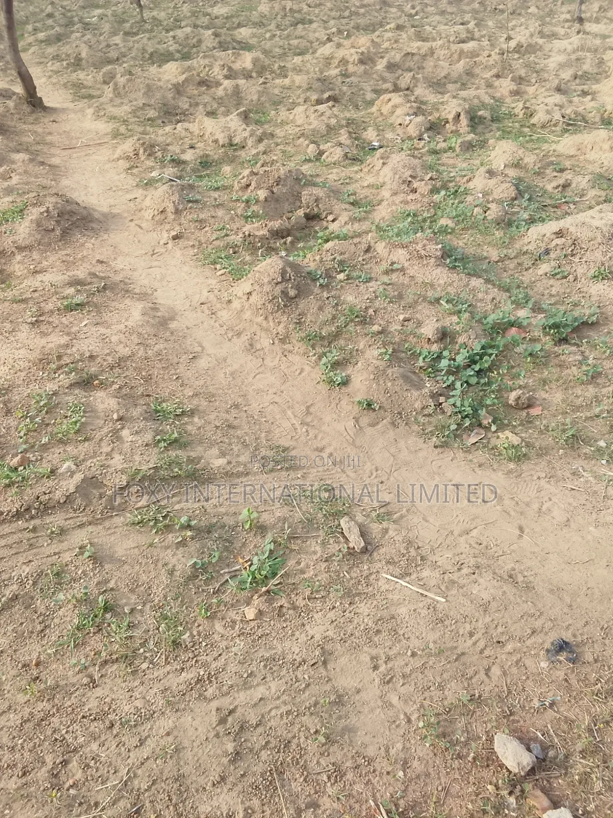 2340sqm Asokoro Main for Sale