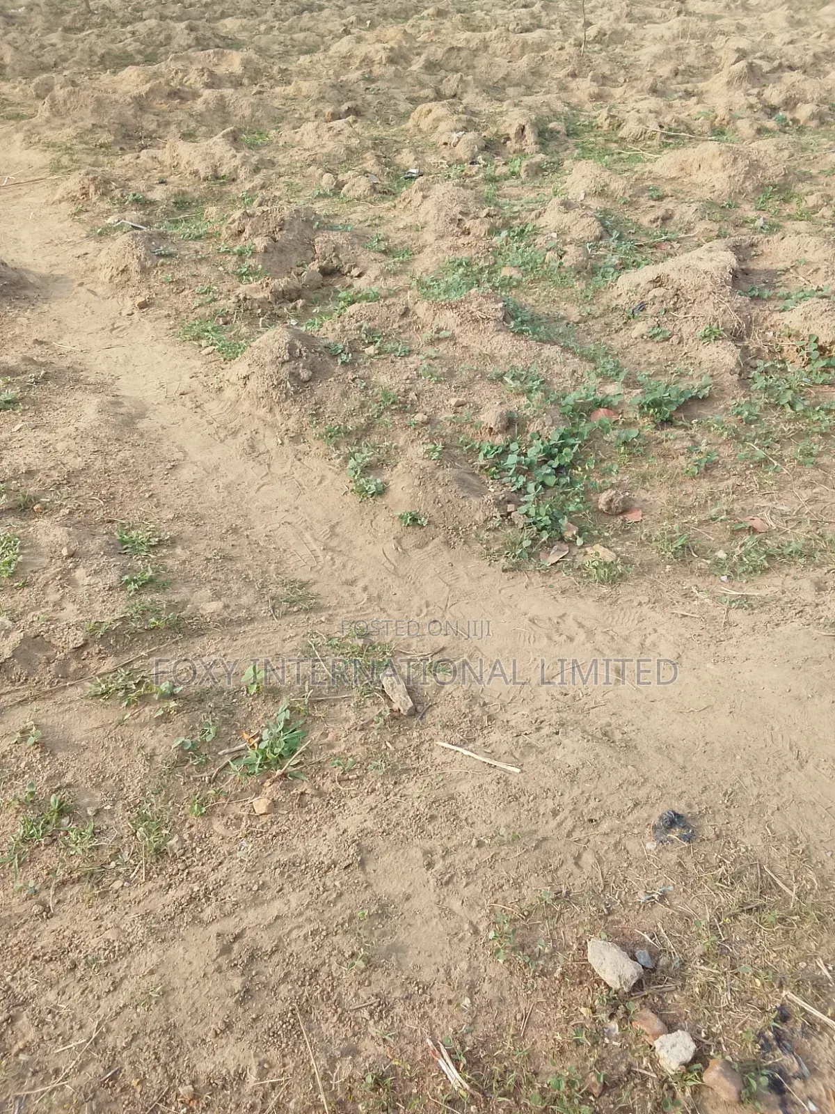 2340sqm Asokoro Main for Sale