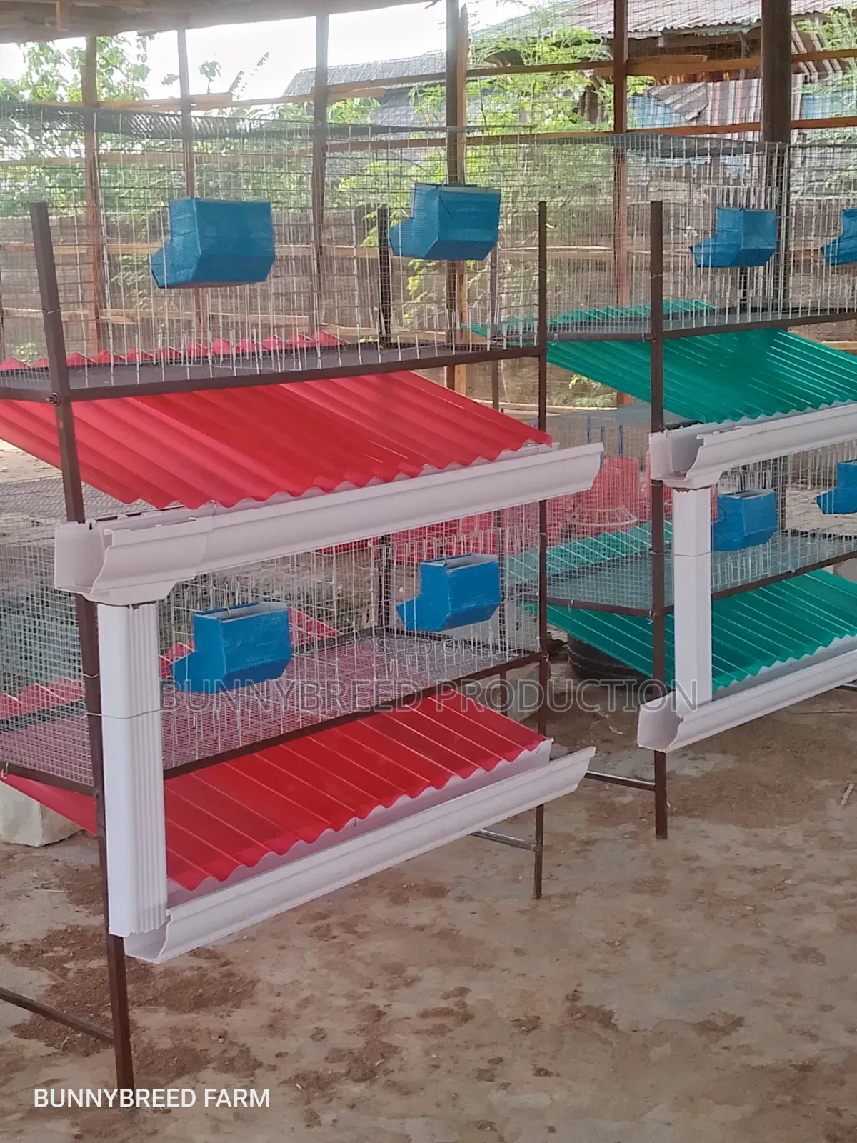 Standard Rabbit Cage Service