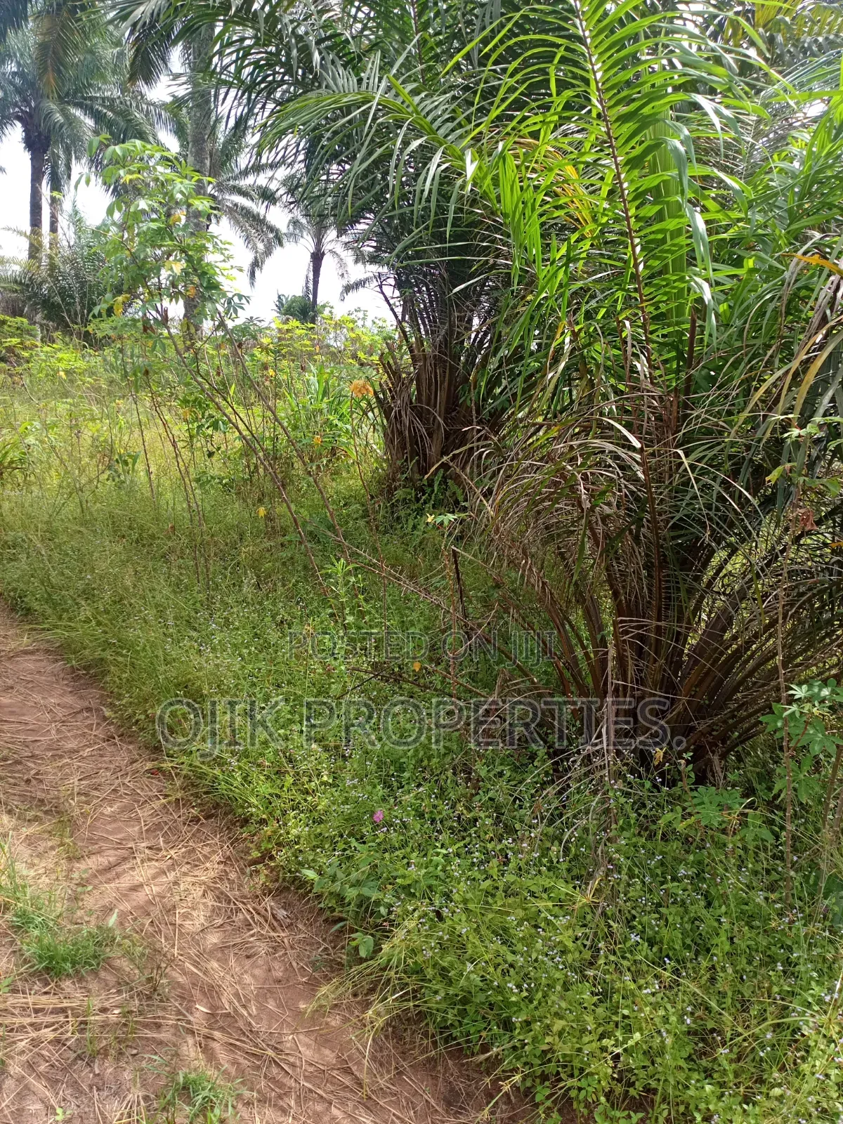 Landed Property
