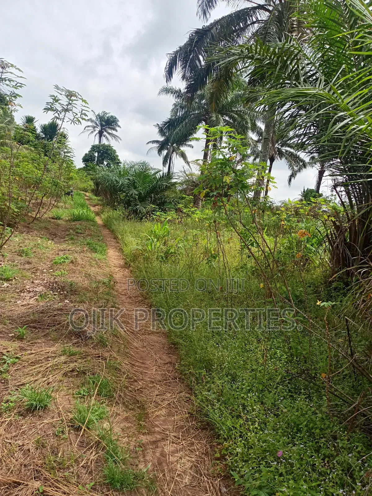 Landed Property