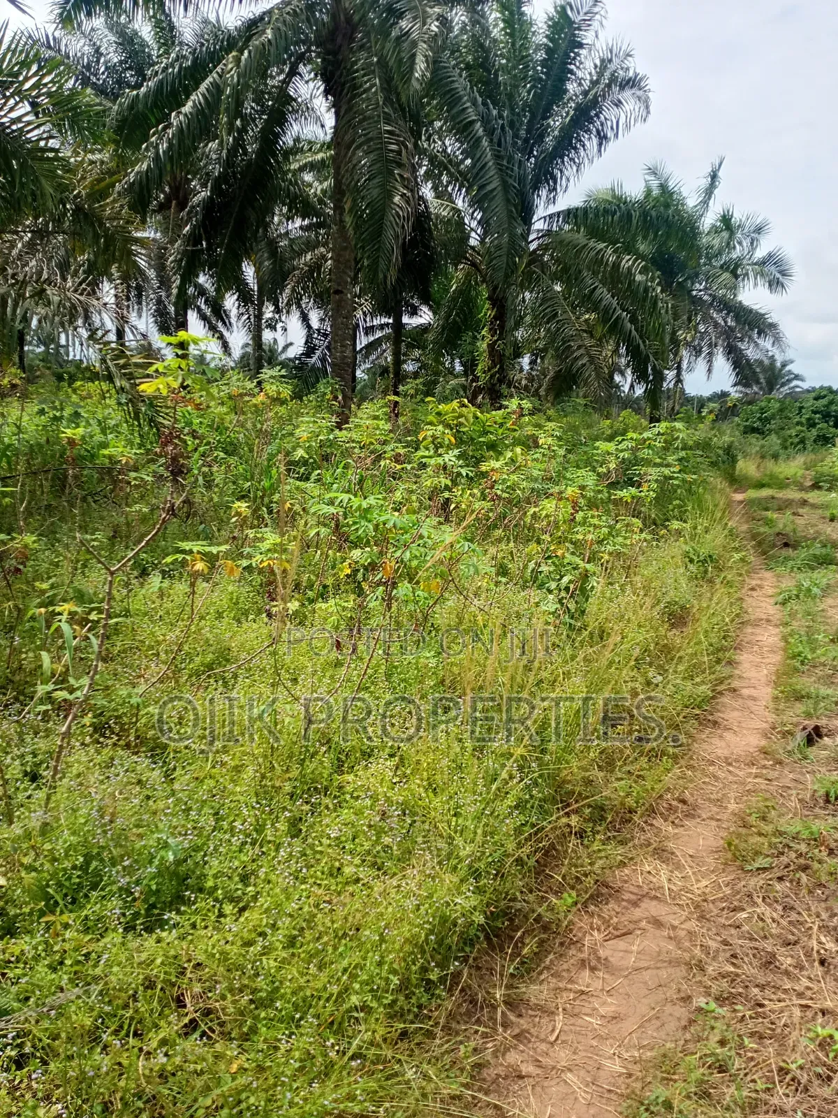 Landed Property