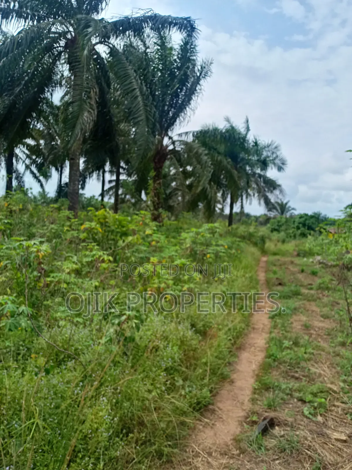 Landed Property