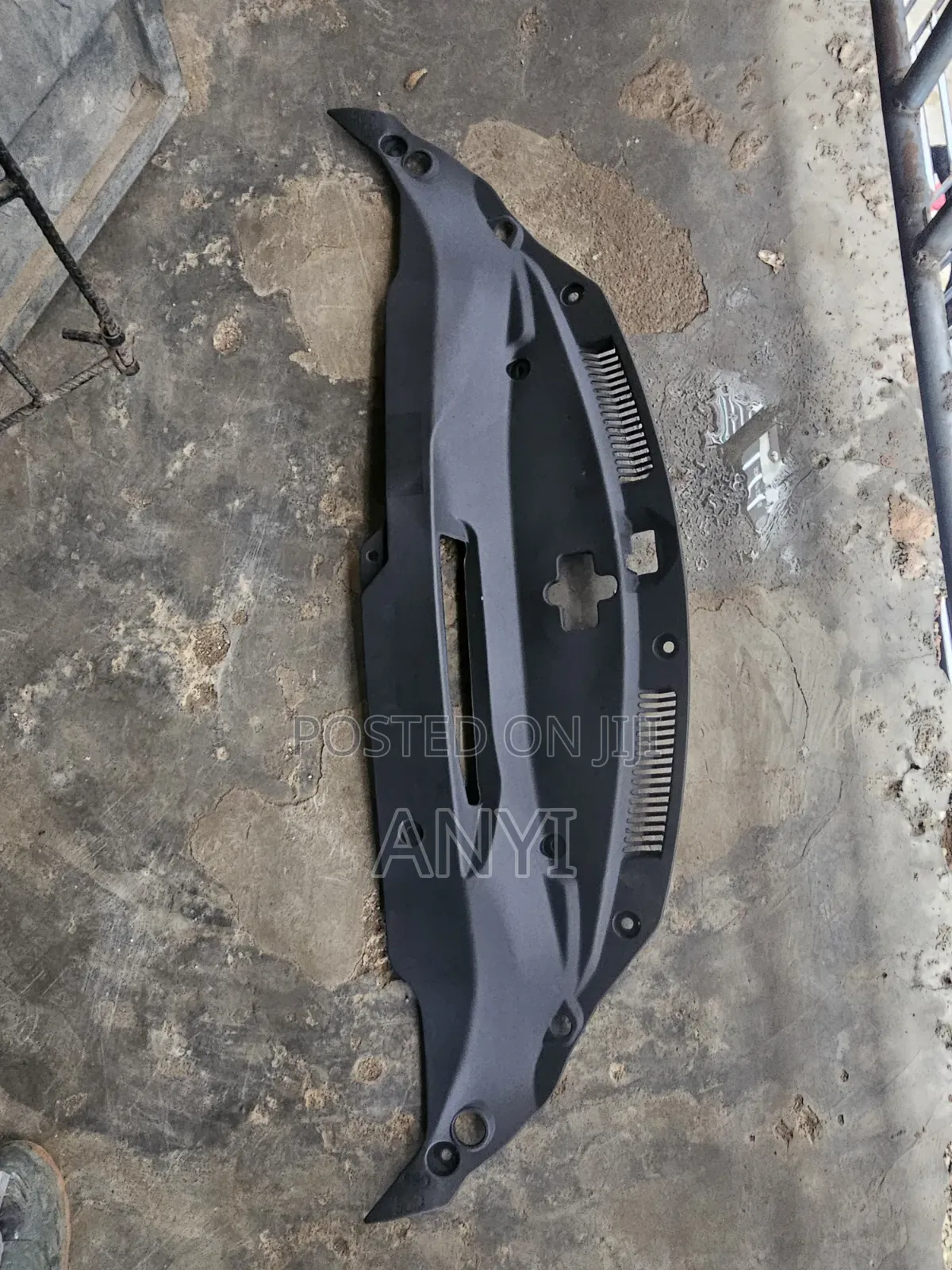 Radiator Plastic Is250 015