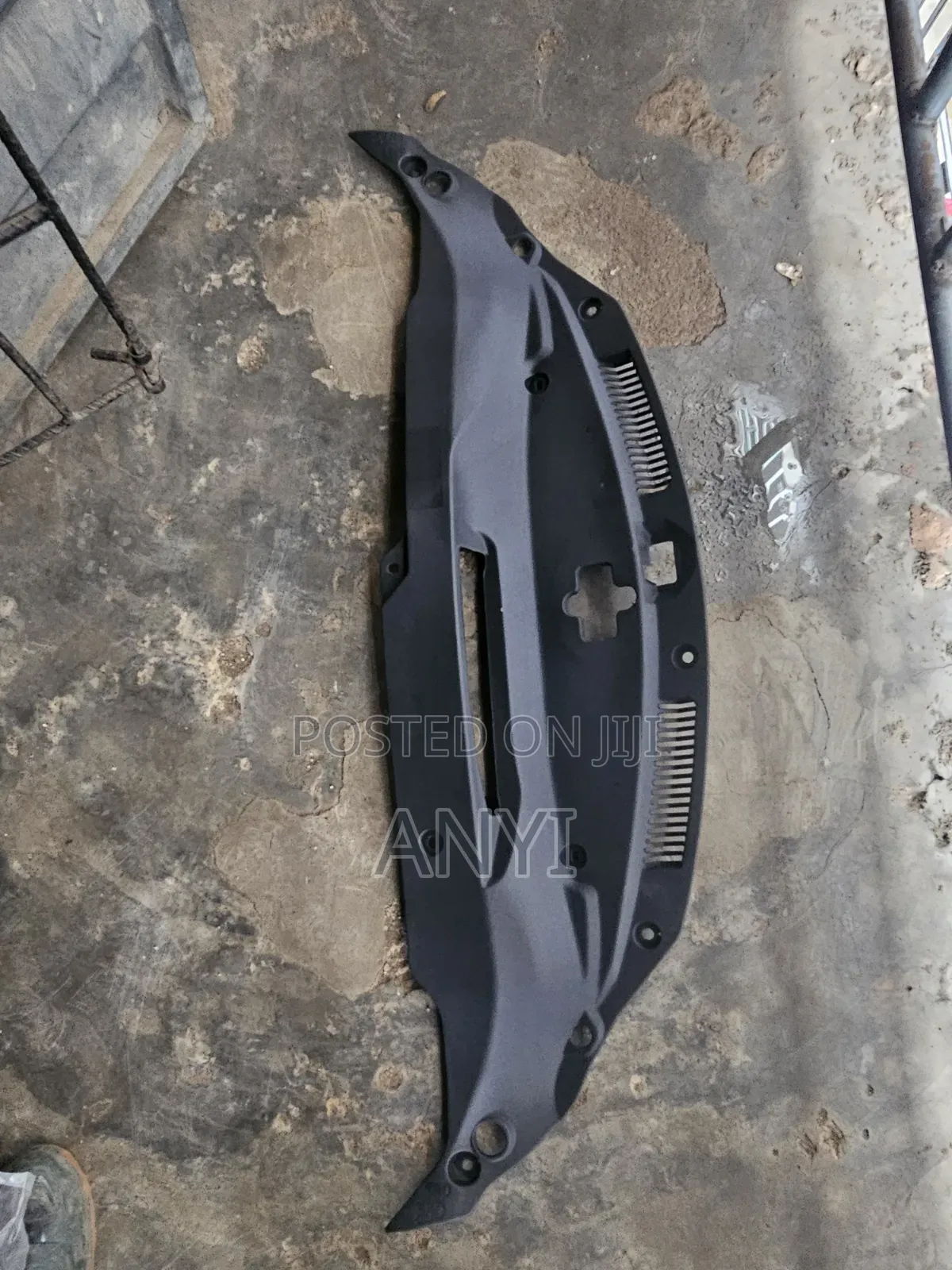 Radiator Plastic Is250 015