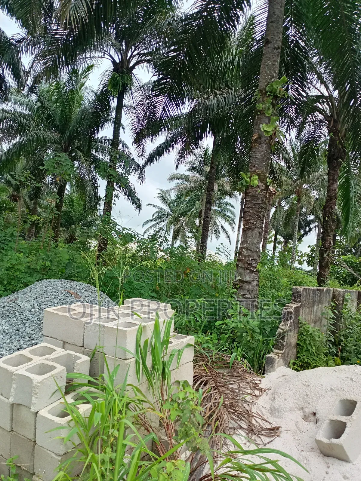 Land Property