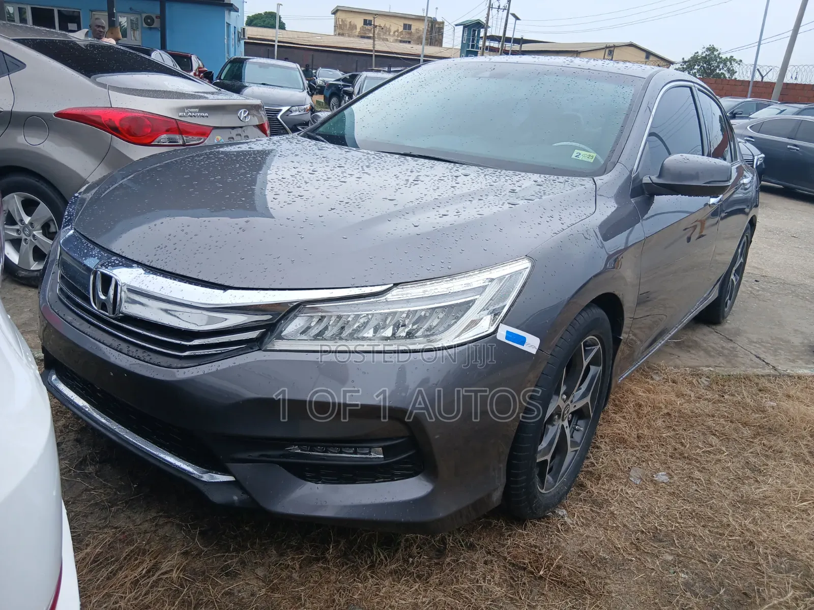 Honda Accord EX-L V-6 4dr Sedan FWD (3.5L 6cyl 6A) 2013 Gray